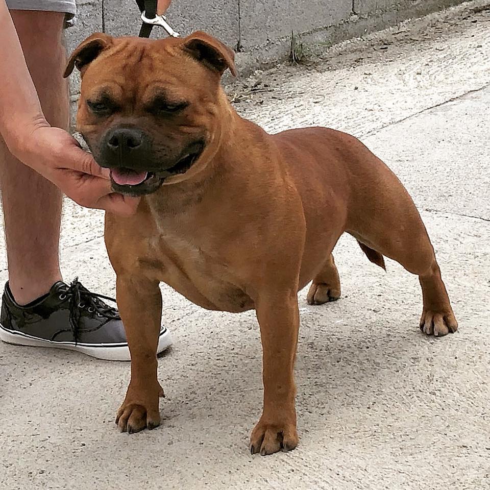 large